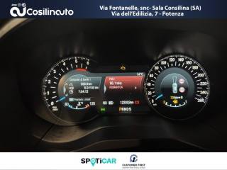 FORD Edge usata, con Fendinebbia