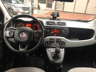 FIAT Panda usata, con Airbag testa
