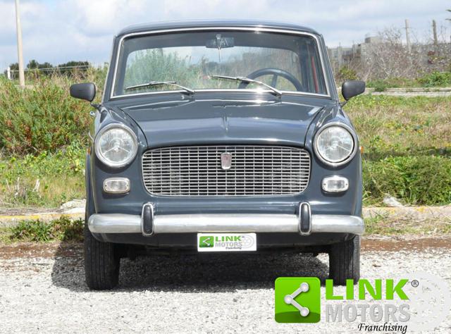 FIAT 1100 usata 1