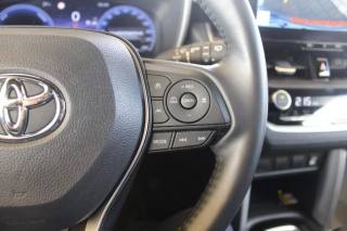 TOYOTA Corolla Cross usata, con Riconoscimento dei segnali stradali