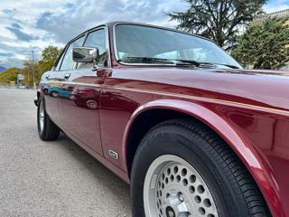 JAGUAR Sovereign usata 7