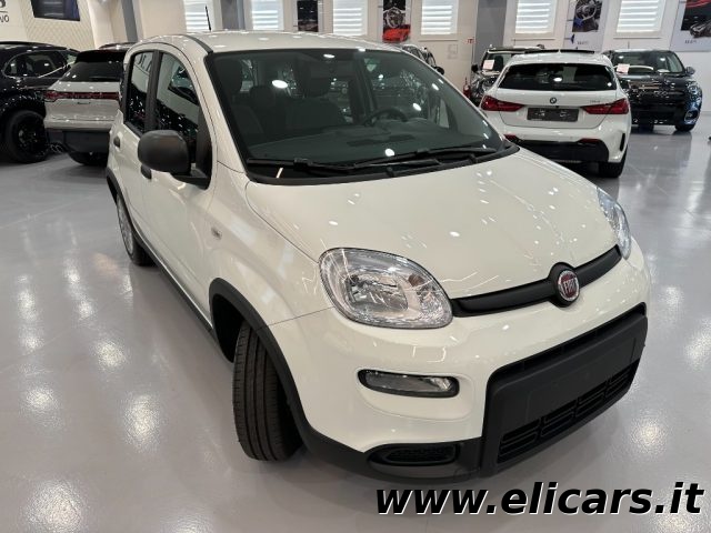 FIAT Panda usata, con Airbag Passeggero