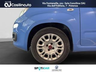 FIAT Panda usata, con Bracciolo