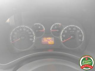FIAT Panda usata 13