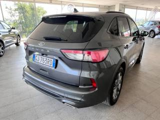 FORD Kuga usata, con Fendinebbia