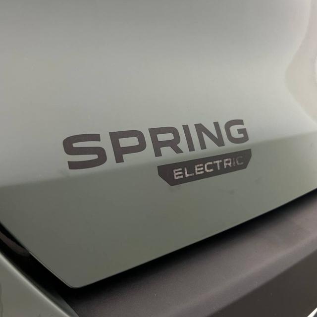 DACIA Spring usata, con Fari direzionali