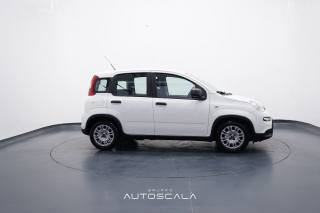 FIAT New Panda usata, con Chiusura centralizzata
