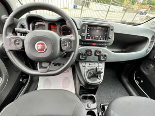FIAT Panda Cross usata, con Chiusura centralizzata