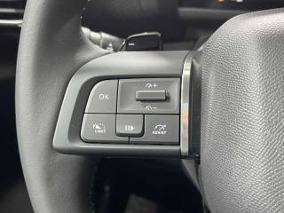 CITROEN C4 usata, con Airbag testa