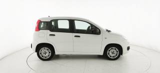 FIAT Panda usata, con Immobilizzatore elettronico