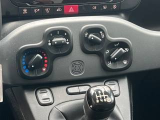 FIAT Panda usata, con Cronologia tagliandi