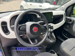 FIAT Pandina Cross usata, con Vetri oscurati