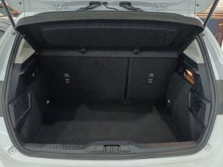 FORD Focus usata, con Fendinebbia