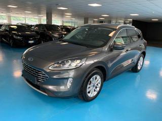 FORD Kuga 2.0 EcoBlue 120 CV aut. Titanium X - VARI COLORI!