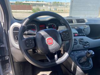 FIAT Panda usata, con Immobilizzatore elettronico