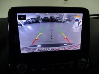 FORD EcoSport usata, con Vetri oscurati