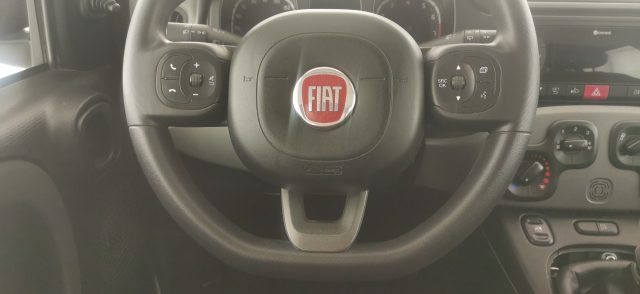 FIAT Panda usata 29