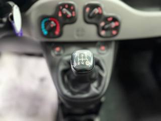 FIAT Panda usata 20