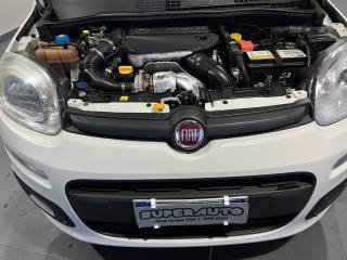 FIAT Panda usata, con Immobilizzatore elettronico
