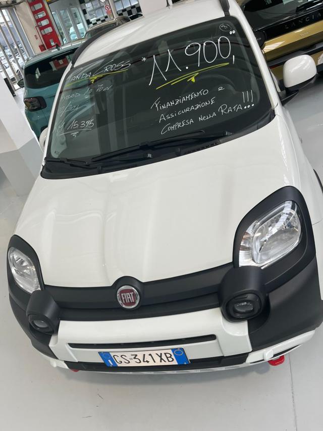 FIAT Panda Cross usata, con Airbag testa