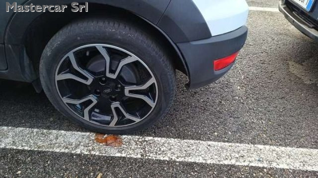 FORD EcoSport usata, con Fendinebbia