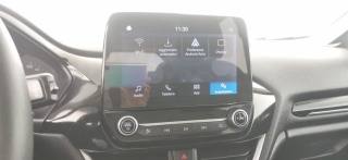 FORD Fiesta usata 60