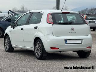FIAT Punto usata, con Servosterzo