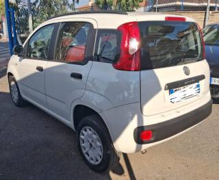 FIAT Panda usata, con Alzacristalli elettrici