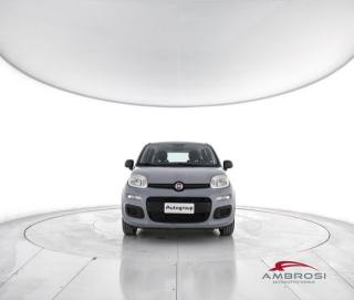 FIAT Panda usata 4