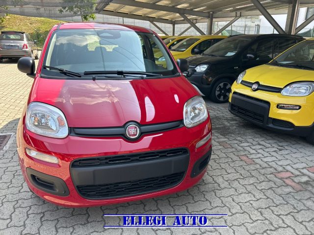 FIAT Panda usata, con ABS