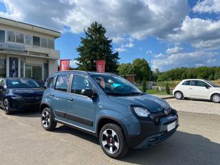 FIAT Panda Cross usata, con Airbag laterali