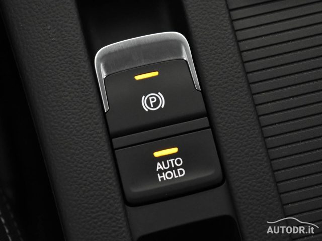 VOLKSWAGEN Passat Variant usata, con Specchietti laterali elettrici