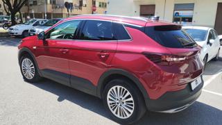 OPEL Grandland X usata, con Fendinebbia