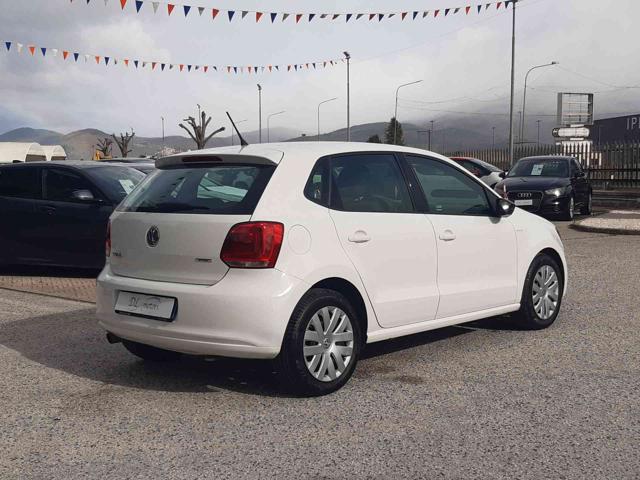 VOLKSWAGEN Polo usata, con ESP