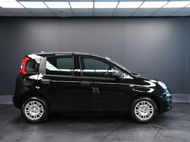 FIAT Pandina usata, con Autoradio