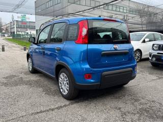 FIAT Panda usata, con Climatizzatore