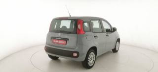 FIAT Panda usata 6