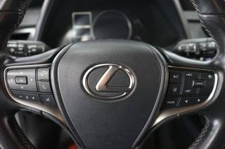 LEXUS UX 250h usata 31