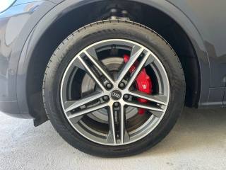 AUDI SQ5 usata, con Fendinebbia