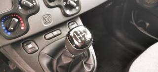 FIAT Panda usata, con Immobilizzatore elettronico