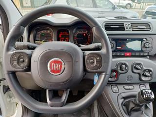 FIAT Panda usata, con ESP