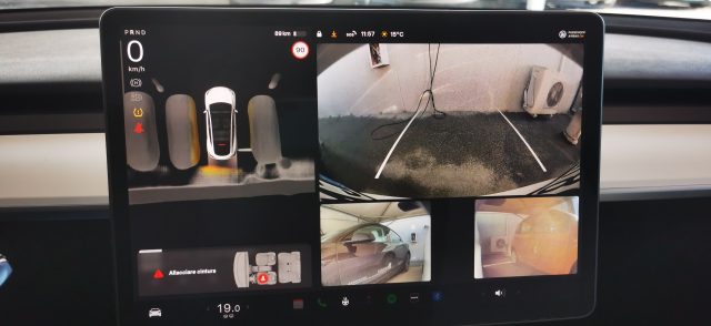 TESLA Model Y usata 66