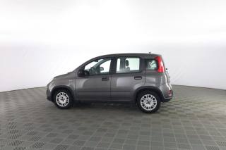 FIAT Panda usata 5