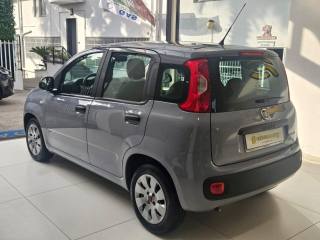 FIAT Panda usata, con Antifurto