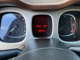 FIAT Panda Cross usata, con Servosterzo
