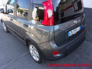 FIAT Panda usata, con Antifurto