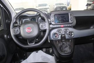 FIAT Panda usata, con Controllo trazione
