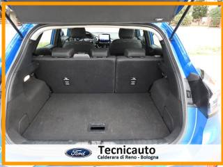 FORD Puma usata, con Fendinebbia