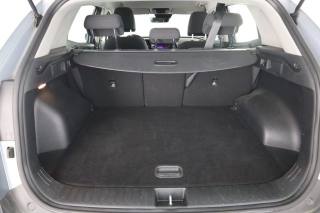 KIA Sportage usata 5