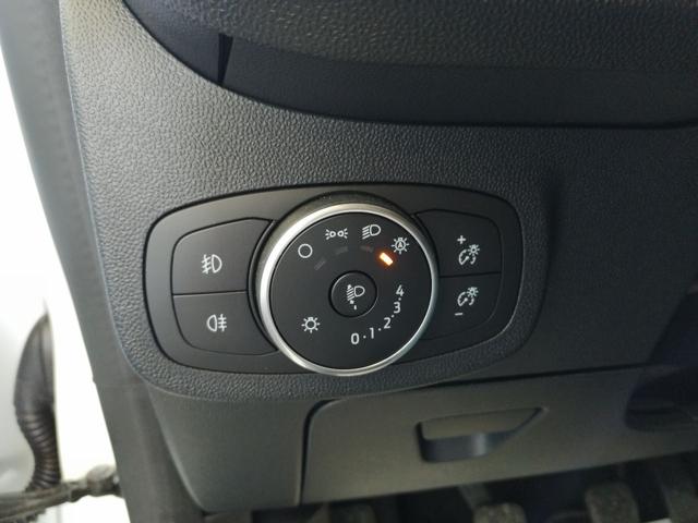 FORD Fiesta usata, con Vetri oscurati
